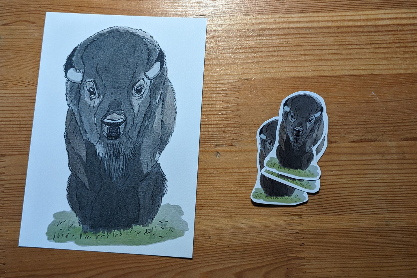 Bison, posters et stickers