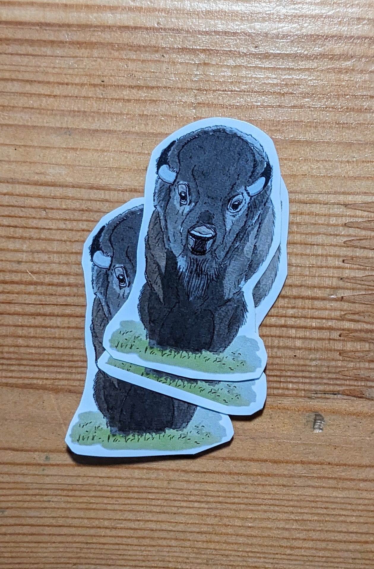 Bison, posters et stickers