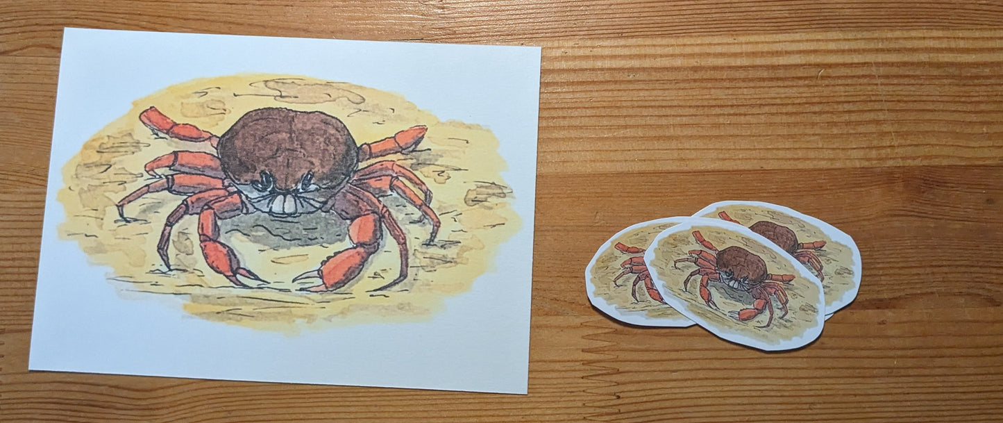 Crabe (tourteau), posters et stickers