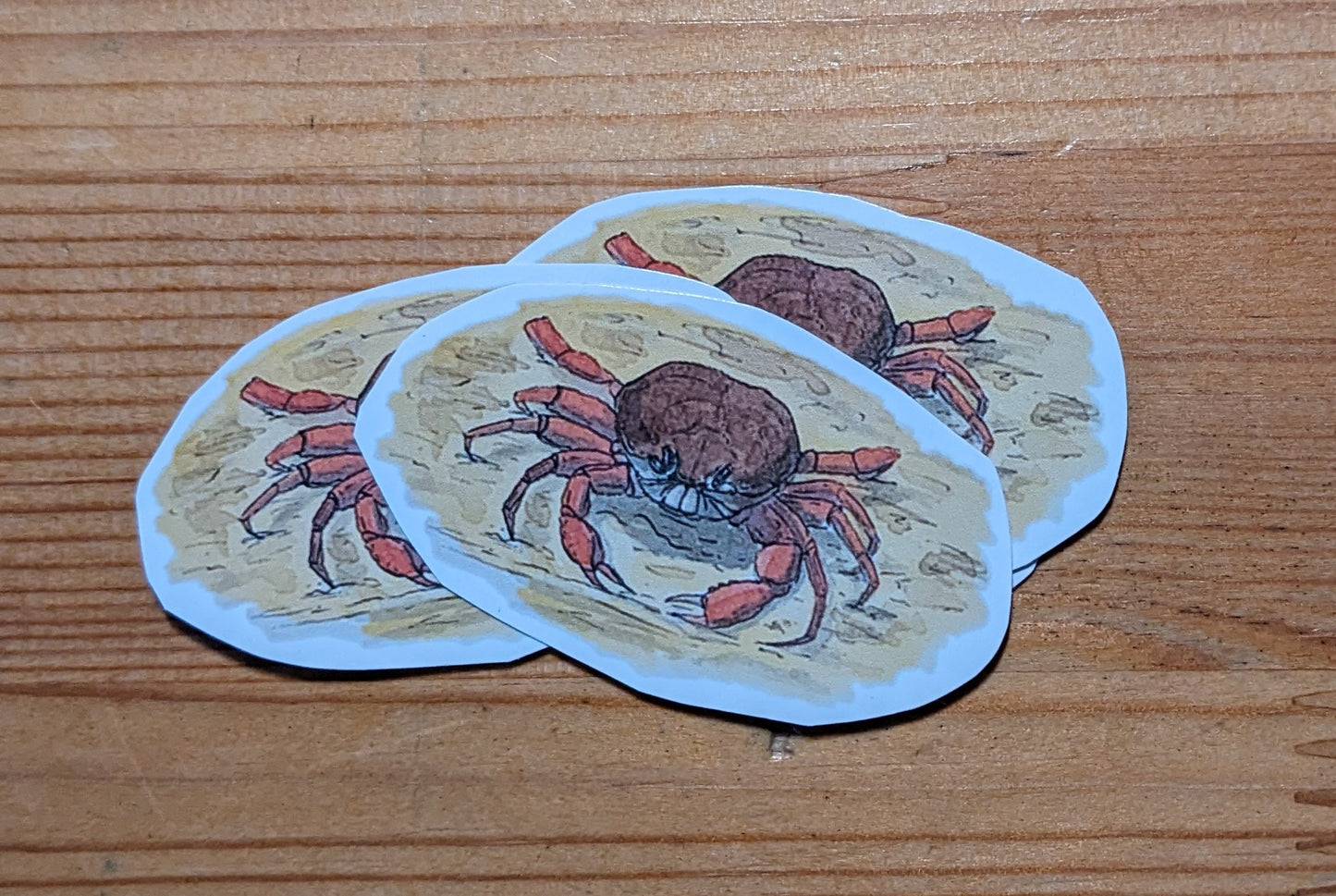 Crabe (tourteau), posters et stickers