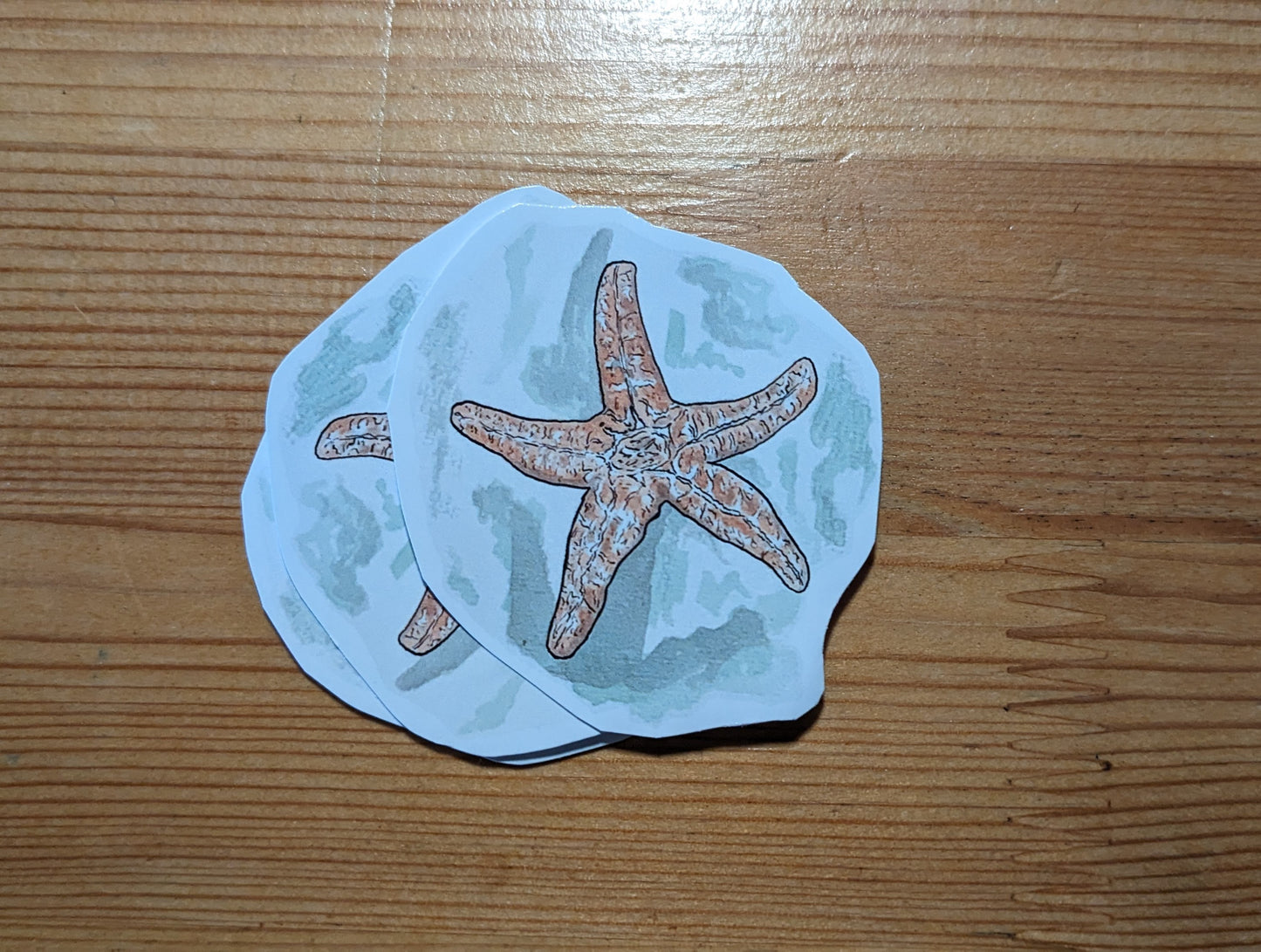 Étoile de mer, posters et stickers