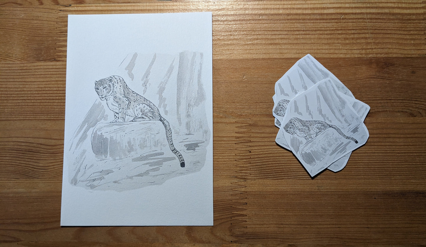 Panthère des neiges, posters et stickers