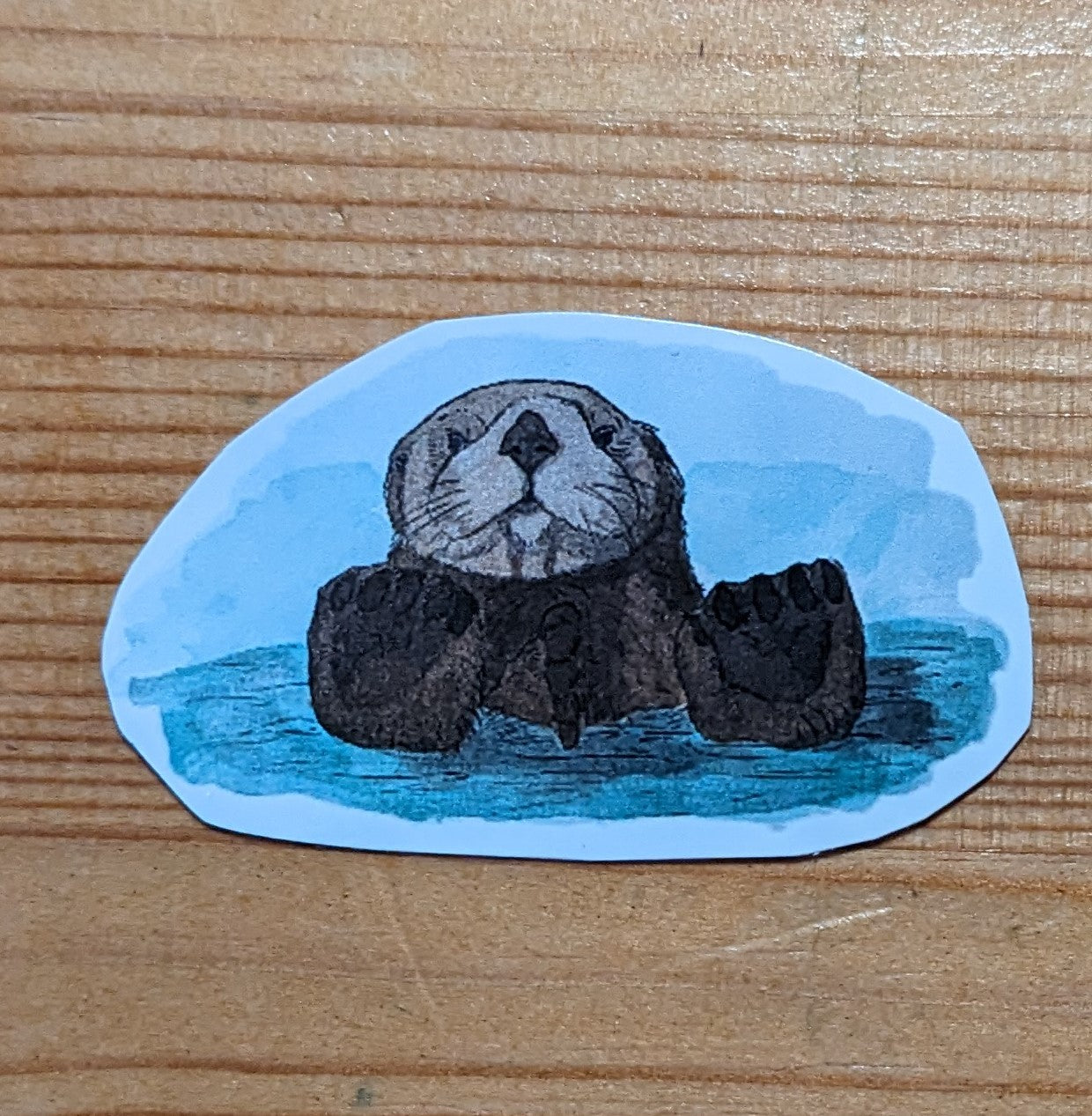 Loutre de mer, posters et stickers
