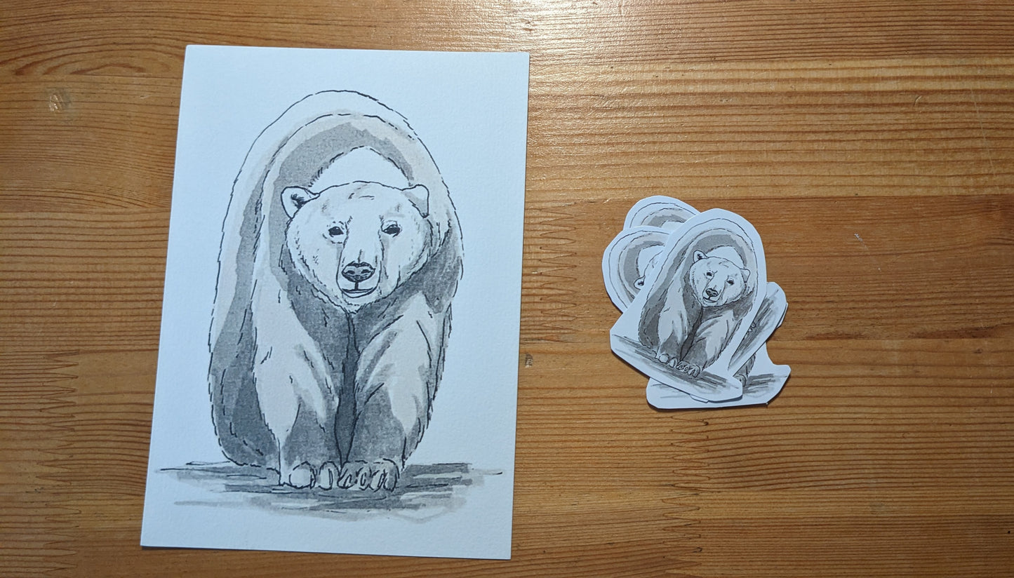 Ours polaire, posters et stickers