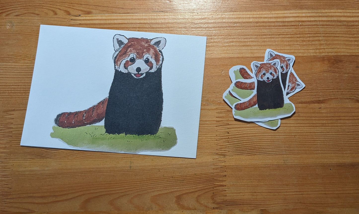 Panda roux, posters et stickers