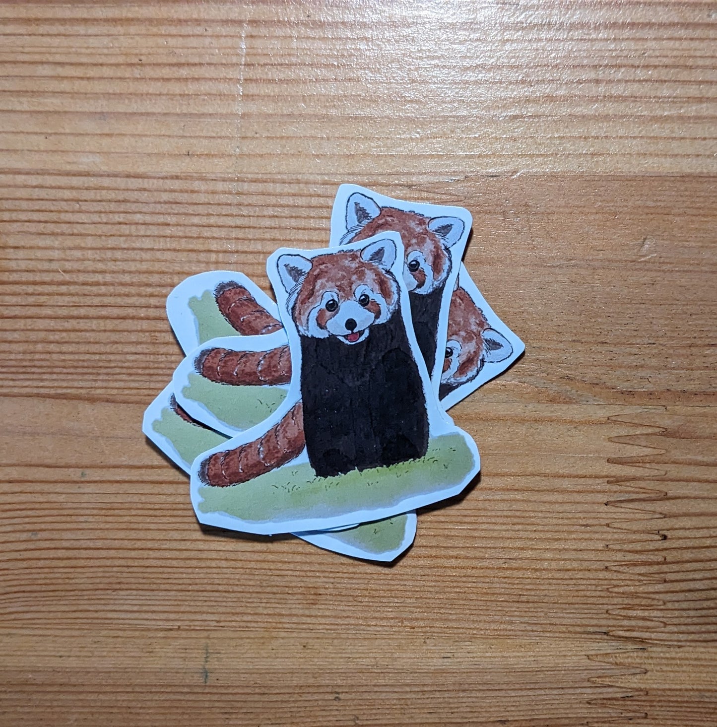 Panda roux, posters et stickers