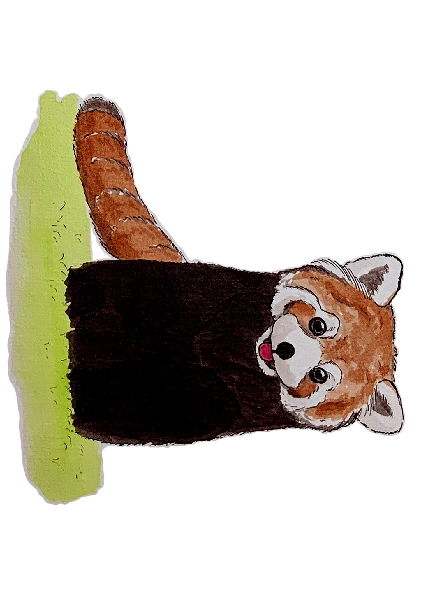 Panda roux, posters et stickers