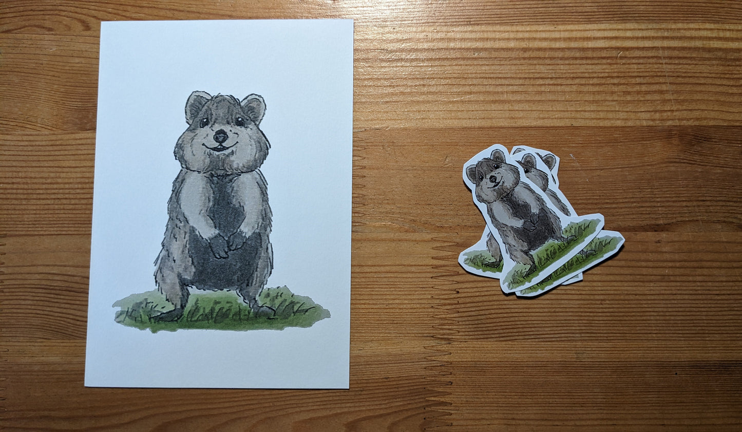 Quokka, posters et stickers