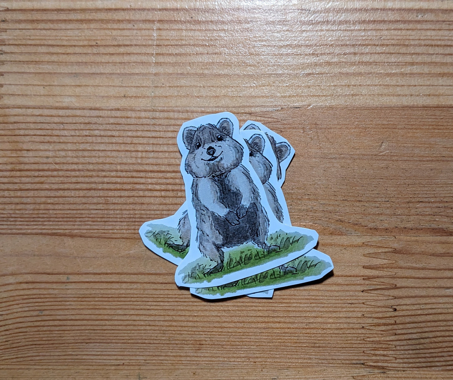 Quokka, posters et stickers
