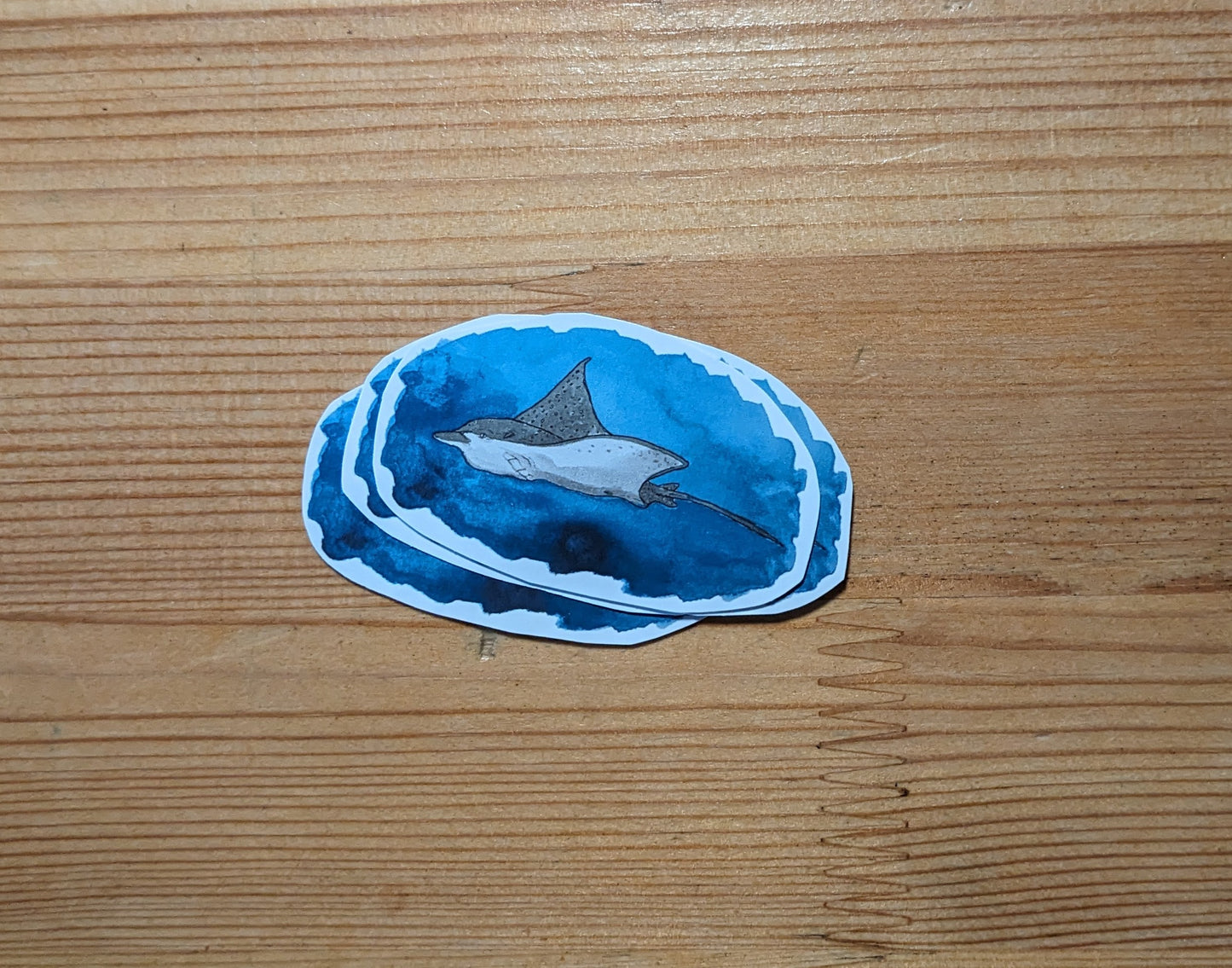 Raie aigle (raie léopard), posters et stickers