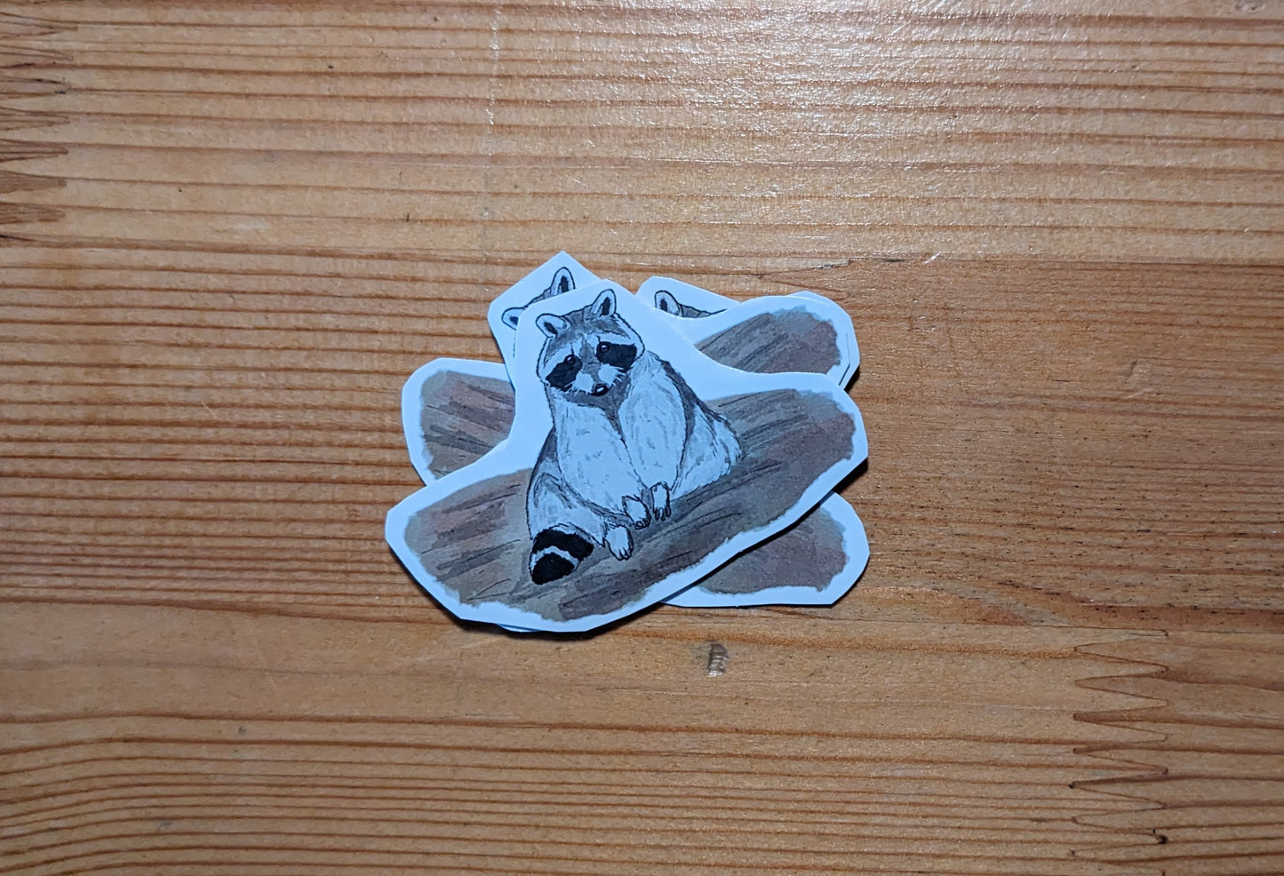 Raton laveur, posters et stickers