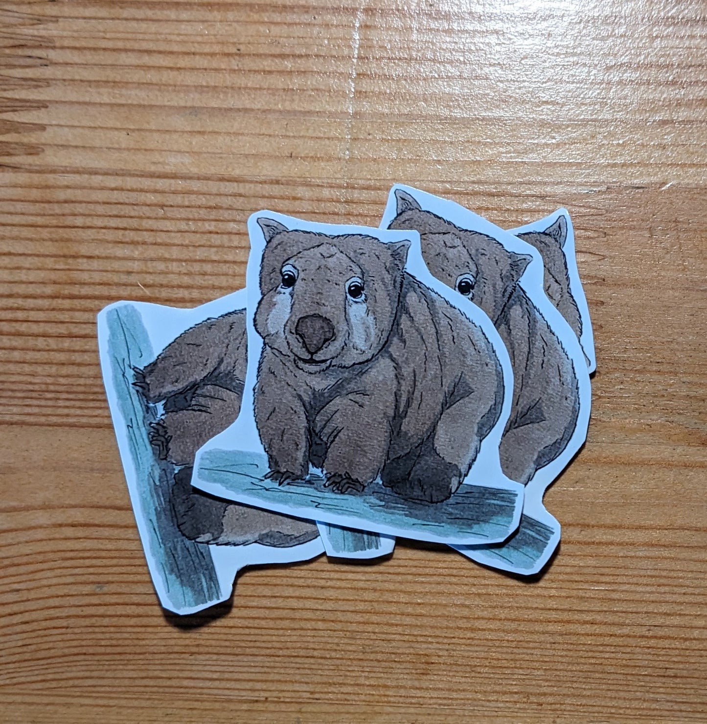 Wombat, posters et stickers