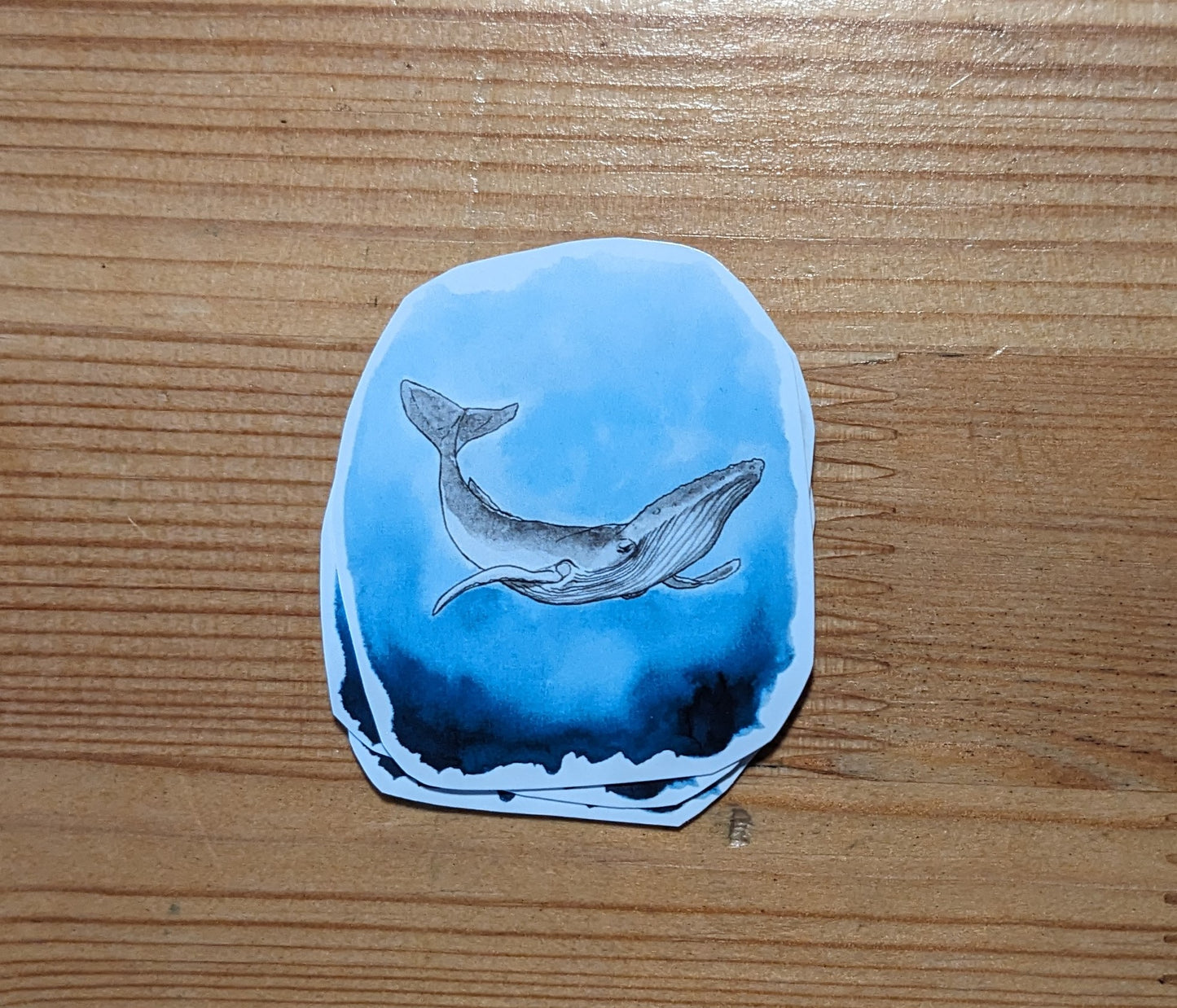 Baleine à bosse, posters et stickers