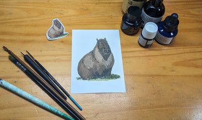 Capybara, posters et stickers