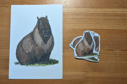 Capybara, posters et stickers