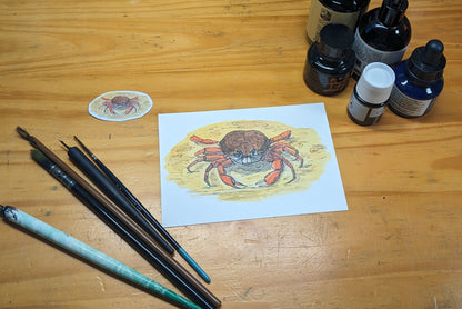 Crabe (tourteau), posters et stickers