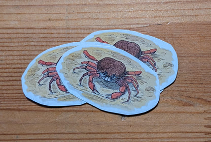 Crabe (tourteau), posters et stickers