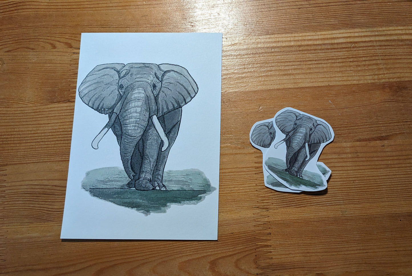 Éléphant, posters et stickers
