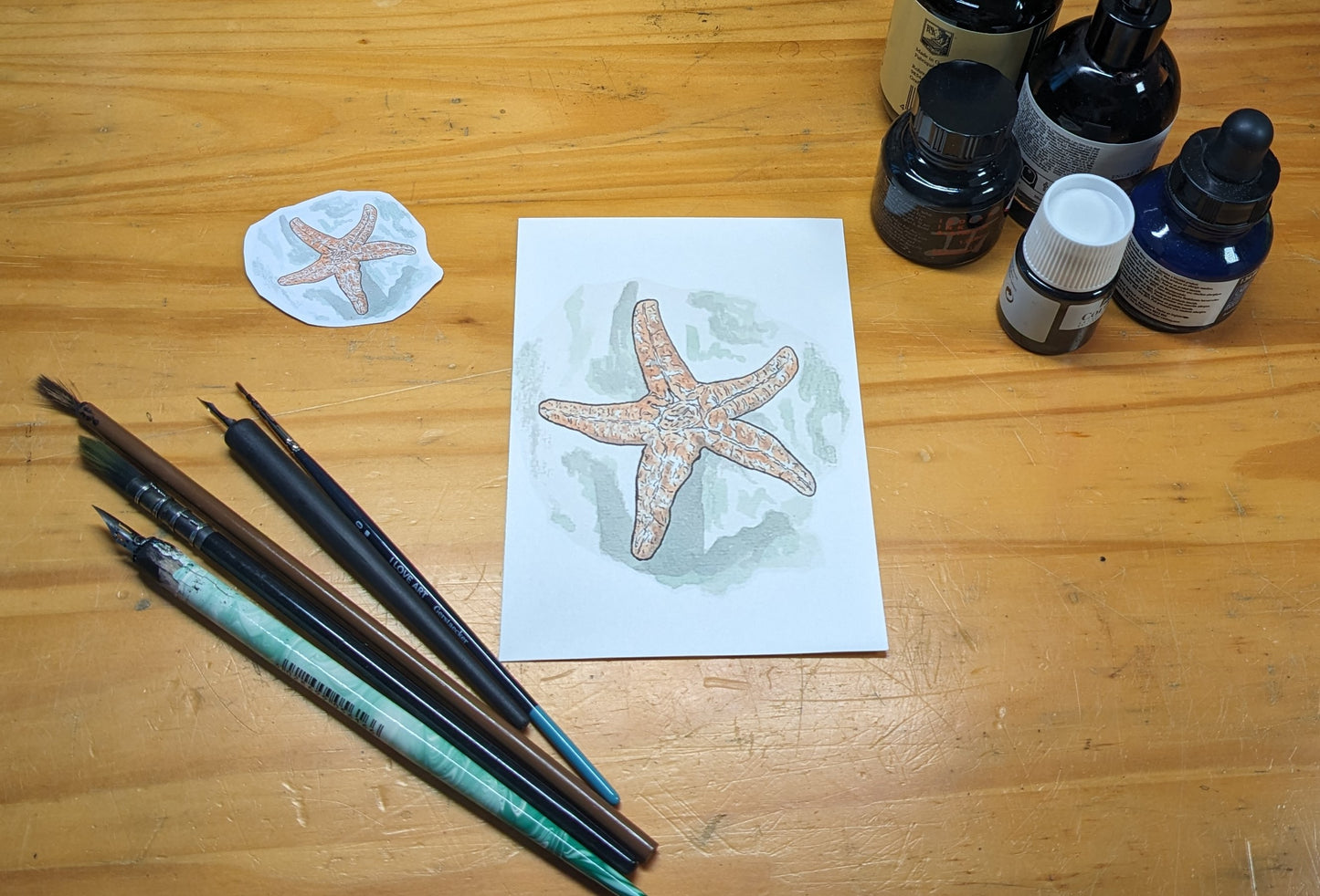 Étoile de mer, posters et stickers