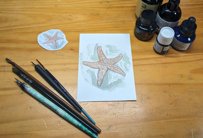 Étoile de mer, posters et stickers
