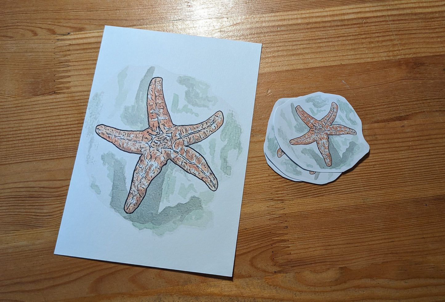 Étoile de mer, posters et stickers