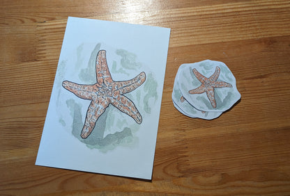 Étoile de mer, posters et stickers