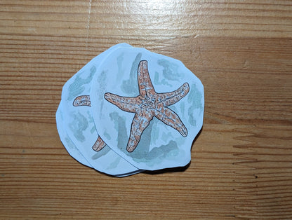 Étoile de mer, posters et stickers