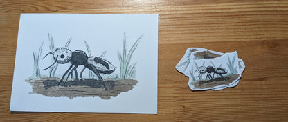 Fourmi panda, posters et stickers