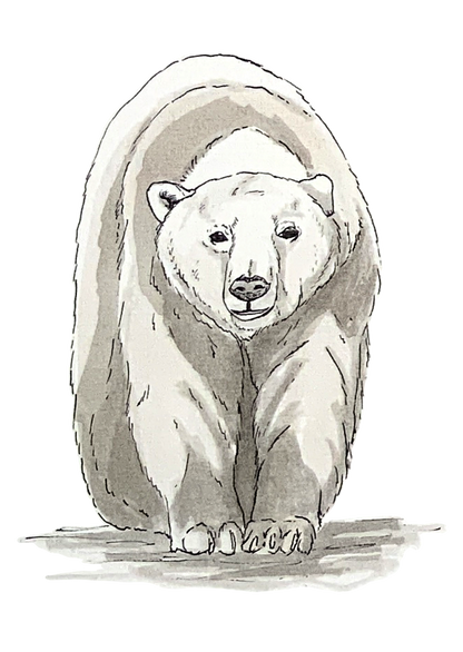 Ours polaire, posters et stickers