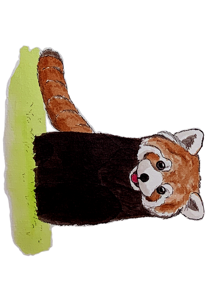 Panda roux, posters et stickers