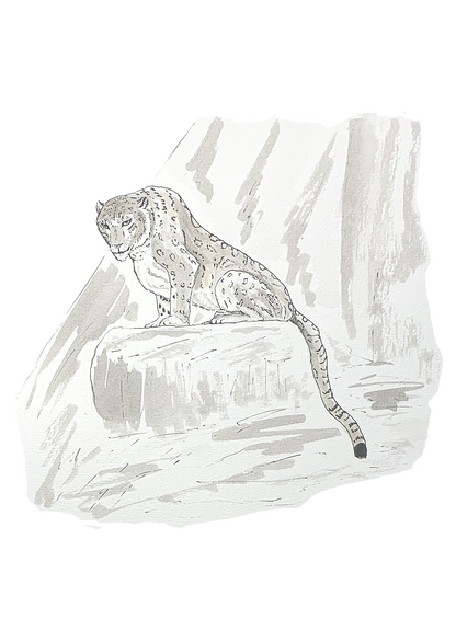 Panthère des neiges, posters et stickers