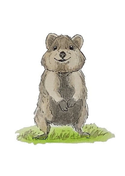 Quokka, posters et stickers