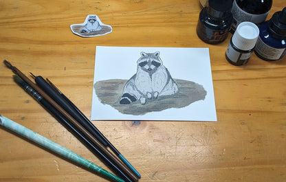 Raton laveur, posters et stickers