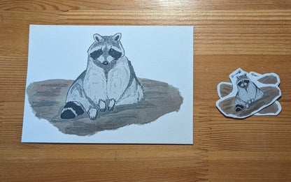 Raton laveur, posters et stickers