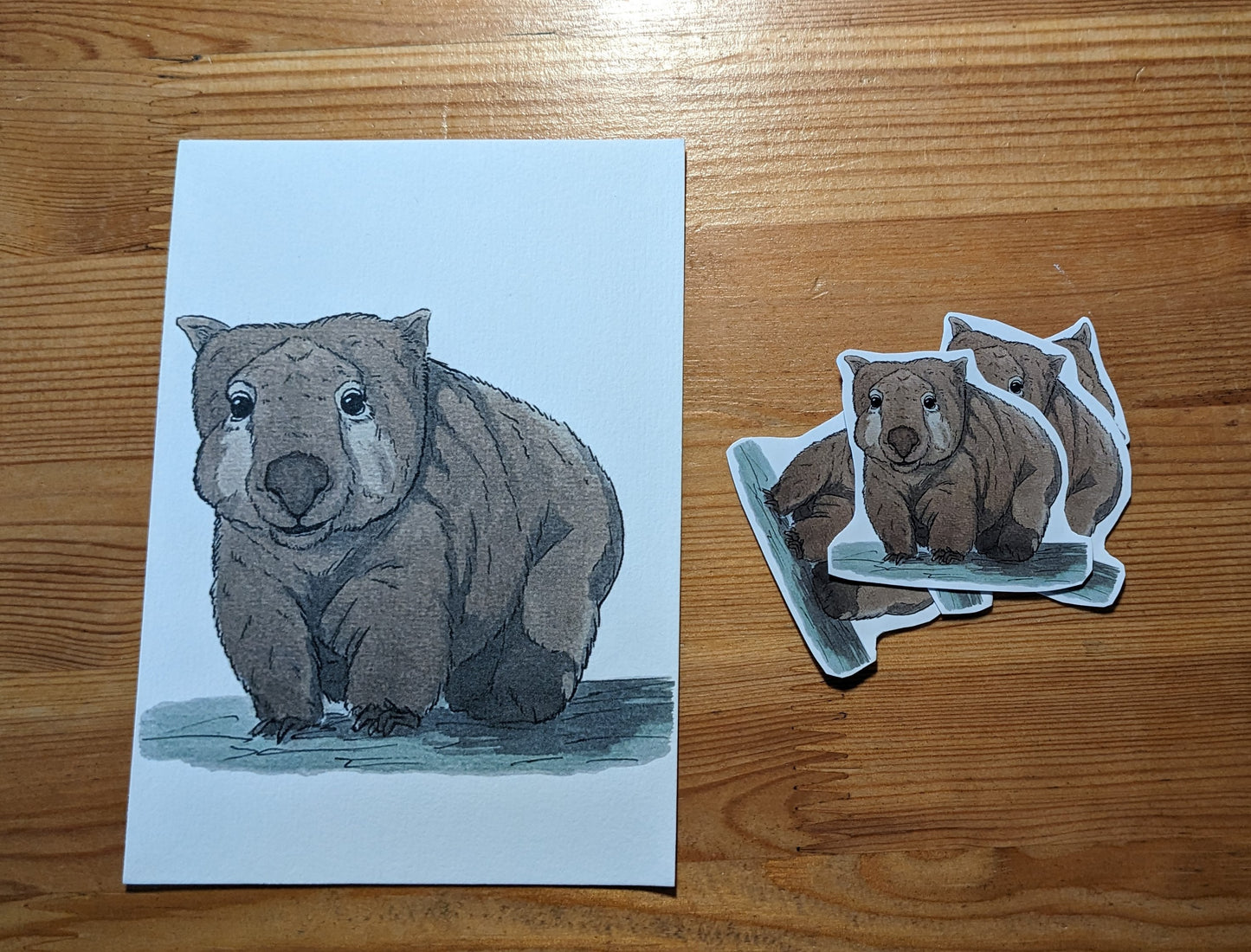 Wombat, posters et stickers