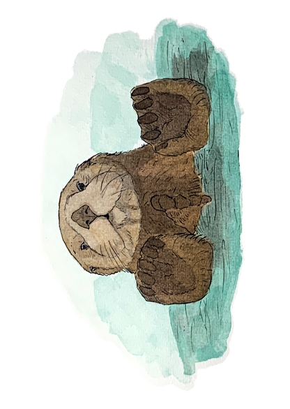 Loutre de mer, posters et stickers